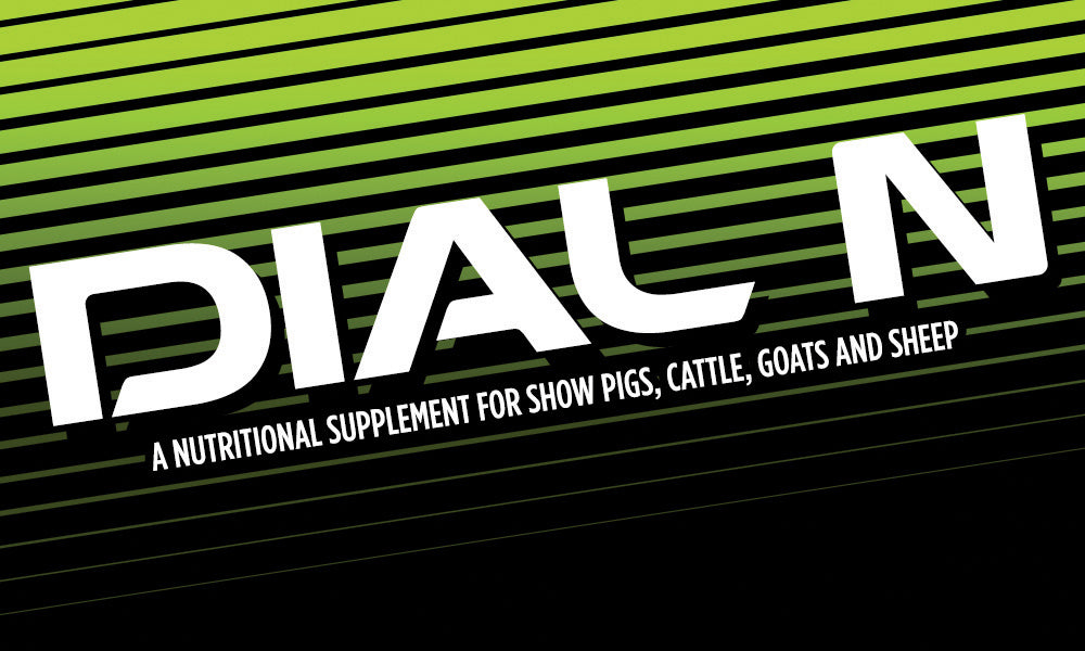 Dial N